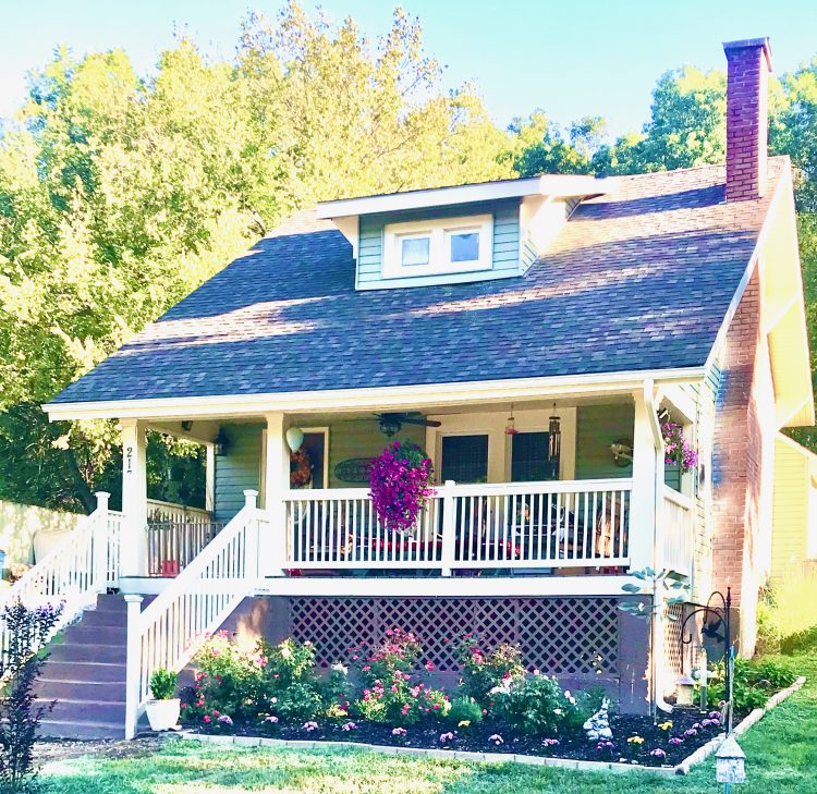French Cottage rose bushes purple flowers